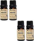 OLEO ESSENCIAL ALECRIM PURO 10ml NATUFLORES KIT 4 UND