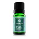 Óleo Essencial Alecrim qt. Cineol Terra Flor 10ml
