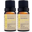 Óleo Essencial Bergamot Italy 10 Ml - Bergamota - Via Aroma 2 Unidades Óleo Essencial Bergamot Italy 10 Ml - Bergamota - Via Aroma 2 Unidades