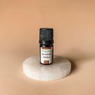 Óleo Essencial Canela 100% Puro 5ml - Força da Terra