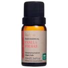 Óleo Essencial Canela Folhas 10ml - Via Aroma Óleo Essencial Canela Folhas 10ml - Via Aroma