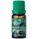 Oleo Essencial Canfora Branca 100% Puro Natural 10 ML - RHR