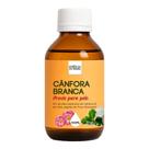 Óleo Essencial Cânfora Branca 100ml - Pronto Pele / Massagem