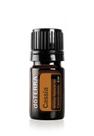 Óleo essencial cassia (canela) 5 mls do terra