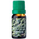 Oleo Essencial de Cipreste 100% Puro e Natural 10ML RH
