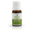 Óleo Essencial de Eucalipto Globulus 100% Puro Aromaterapia Alivia Problemas Respiratórios Melhora o Foco e a Concentração Ação Anti-inflamatória