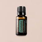 Óleo essencial de Eucalyptus - 15ml - 300 gotas - Mais vendido - Refrescante Óleo essencial de Eucalyptus - 15ml - 300 gotas - Mais vendido - Refrescante