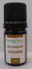 Óleo Essencial de Gengibre Força da Terra 5 ml
