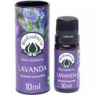 Óleo Essencial de Lavanda 10 ml Óleo Essencial de Lavanda 10 ml