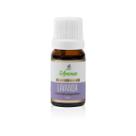 Óleo Essencial de Lavanda 100% Puro 10ml Lavandula Óleo Essencial de Lavanda 100% Puro 10ml Lavandula