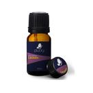 Óleo Essencial de Lavanda Plucky