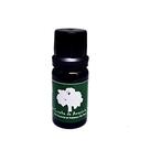 Óleo essencial de melaleuca 10 ml