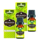 Óleo Essencial de Melaleuca Tea Tree 10ml CHAMED 100% Puro 2 Frascos Óleo Essencial de Melaleuca Tea Tree 10ml CHAMED 100% Puro 2 Frascos