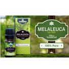 Óleo Essencial de Melaleuca Tea Tree 10ml Chamed