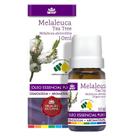 Óleo Essencial de Melaleuca (Tea Tree) - 10ml - WNF
