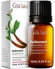 Óleo Essencial de Nardo Gya Labs 10 ml para Aromaterapia Óleo Essencial de Nardo Gya Labs 10 ml para Aromaterapia