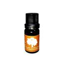 Óleo Essencial De Olíbano 10 Ml