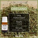 Óleo Essencial de Orégano 10 ml 100% Puro