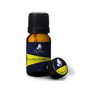 Óleo Essencial de Ylang Ylang Plucky