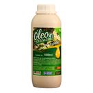 Óleo Essencial Eucalipto Citriodora Aroma Ambiente Sauna 1L