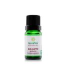 Óleo essencial eucalipto globulus terraflor 10ml