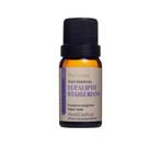 Óleo Essencial Eucalipto Staigeriana Via Aroma - 10ml