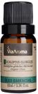 Óleo Essencial Eucaliptus Globulus Via Aroma 10ml Eucalipto