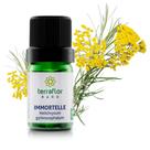 Óleo Essencial Immortelle 5ml (H. gymnocephalum) - Terra Flor