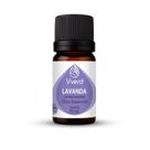 Óleo Essencial Lavanda 10ml Puro, Natural, Aromaterapia e Difusor de Ambientes Vverd