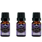 Oleo essencial lavanda 3 unidades 100% puro 10ml - Chamel