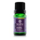Óleo Essencial Lavanda Francesa Natural Terra Flor 10ml