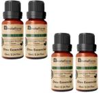 ÓLEO ESSENCIAL LEMONGRASS 10ml NATUFLORES KIT 4UND