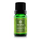Óleo Essencial Lemongrass Capim Limão Terra Flor 10ml Óleo Essencial Lemongrass Capim Limão Terra Flor 10ml