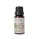 Óleo Essencial Melaleuca 10ml Melaleuca Alternifolia Puro Natural Premium
