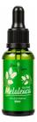 Óleo Essencial Melaleuca Tea Tree 30ml