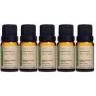 Óleo Essencial Melaleuca Tea Tree Via Aroma 10ml 100% Puro - 5 Unidades Óleo Essencial Melaleuca Tea Tree Via Aroma 10ml 100% Puro - 5 Unidades