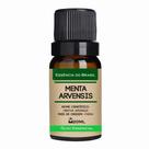 Óleo Essencial Menta Arvensis 20ml - Puro e Natural Óleo Essencial Menta Arvensis 20ml - Puro e Natural
