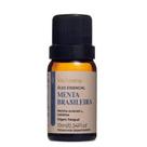 Óleo Essencial Menta Brasileira Aromatherapy Via Aroma 10 ml
