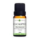 Óleo Essencial Natural Eucalipto - 10ml