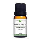 Óleo Essencial Natural Melaleuca - 10ml