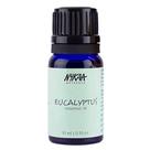 Óleo essencial Nykaa Naturals Eucalyptus 10mL para pele e cabelo
