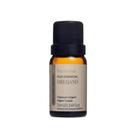 Óleo Essencial Oregano 10ml Via Aroma - viaaroma