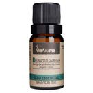 Oleo Essencial para Difusores de Aroma EUCALIPTUS GLOBULUS