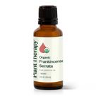 Óleo Essencial Plant Therapy Organic Frankincense Serrata 30mL Óleo Essencial Plant Therapy Organic Frankincense Serrata 30mL