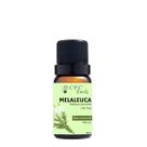 Óleo Essencial Puro de Melaleuca CPC Beauty