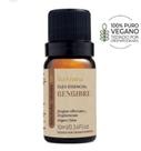 Oleo Essencial Via Aroma 100 Puro Vegano 10ml Gengibre