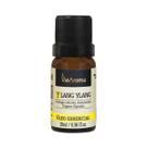 Óleo Essencial Ylang Ylang 10ml Via Aroma