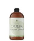 Óleo orgânico puro de semente de camélia 500mL prensado a frio Óleo orgânico puro de semente de camélia 500mL prensado a frio