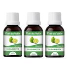 Óleo Vegetal De Bergamota 30ml Flor Do Valle - Essencial