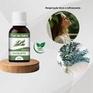 Óleo Vegetal De EUCALIPTO 30ml Flor Do Valle - Essencial